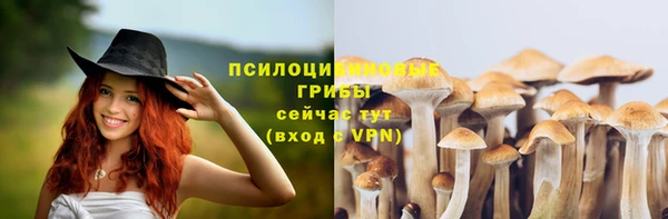 кристаллы Новозыбков