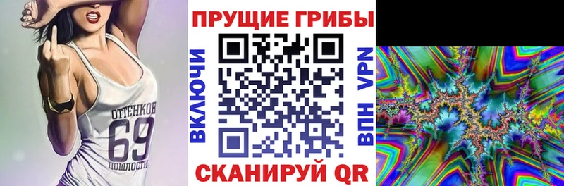 Псилоцибиновые грибы мицелий  Купить закладки  Черепаново 